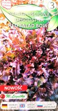 Lettuce Salad Bowl Red Seeds